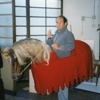 cavallo